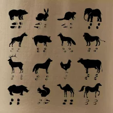 Zvířecí stopy s obrázkem zvířete - stopy zvířat