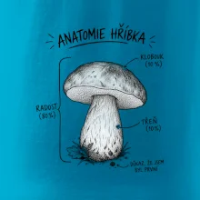 Anatomie hříbka