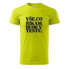Vše co říkám bude v testu