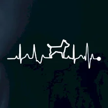 Ekg psí obrys Ekg psí obrys