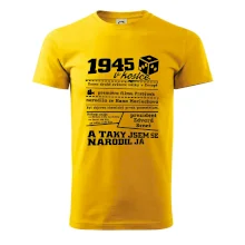 1945 v kostce