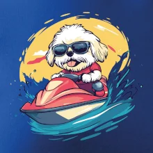 Lhasa Apso na vodním skútru