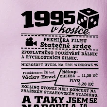 1995 v kostce