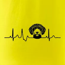 Lagotto romagnolo hlava EKG