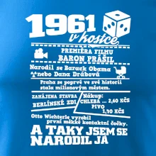 1961 v kostce