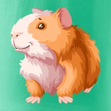 Morče - kreslené, bílo oranžové