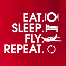 Eat sleep fly repeat
