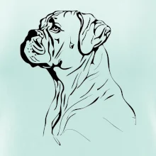 Boxer černá kresba