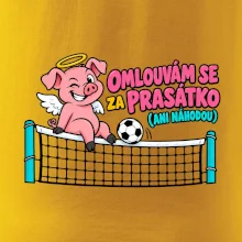 Nohejbalové prasátko na síti