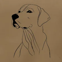 Labrador černá kresba