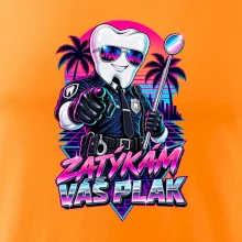 Zatýkám váš plak