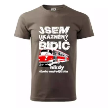 Jsem ukázněný řidič - tramvaj