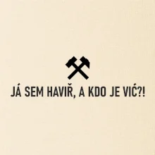 JÁ SEM HAVIŘ, A KDO JE VIĆ?!﻿