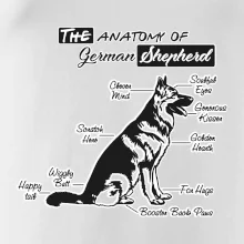 Německý ovčák - Anatomie