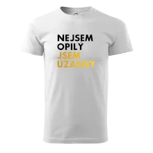 Nejsem opilý jsem úžasný