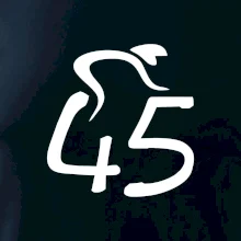 Cyklista slaví pětačtyřicítku (45)