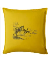 Kůň a hříbě malované