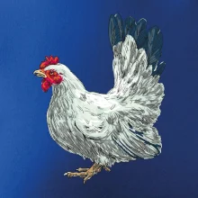 Slepice kreslená bílá