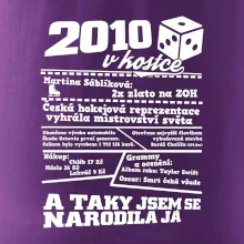 2010 v kostce