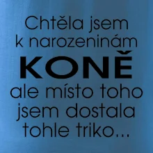 Chtěla jsem dostat k narozeninám koně