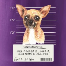 Lump a darebák čivava