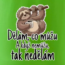 Dělám, co můžu. A když nemůžu, tak nedělám.