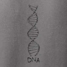 Cyklistovo DNA