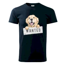 Zlatý retriever - štěně wanted