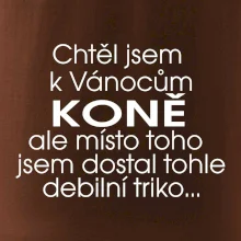 Chtěl jsem dostat k Vánocům koně