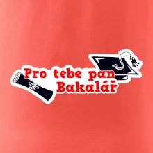 Pro tebe pan Bakalář