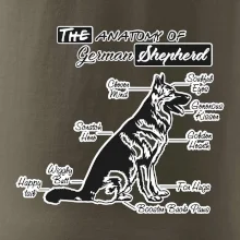 Německý ovčák - Anatomie