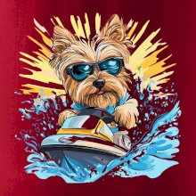 Yorkšírský teriér na vodním skútru