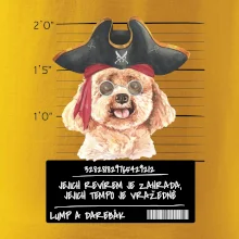 Lump a darebák pudl