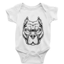 Americký stafordširský teriér hlava