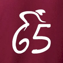 Cyklista slaví pětašedesátku (65)