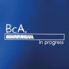 In progress  titul BcA. bakalář / bakalářka umění