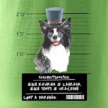 Lump a darebák border kolie