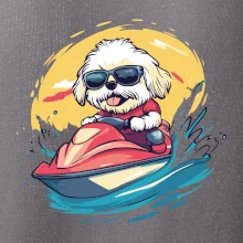 Lhasa Apso na vodním skútru