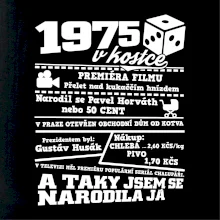 1975 v kostce