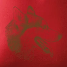 Husky - hlava z boku