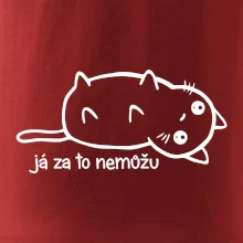 Já za to nemůžu