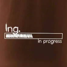In progress  titul Ing. inženýr / inženýrka