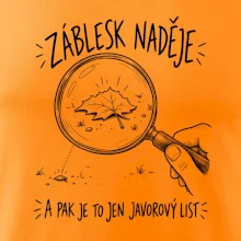 Záblesk naděje