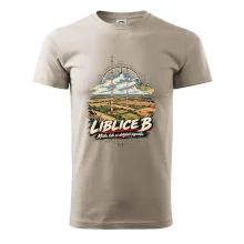 Liblice B vysílače v české krajině
