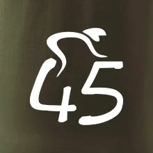 Cyklista slaví pětačtyřicítku (45)