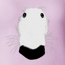 Barzoj čumák (Moňas)