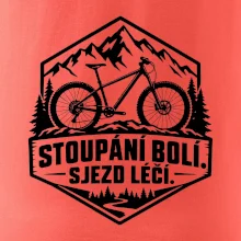 Stoupání bolí sjezd léčí - horské kolo