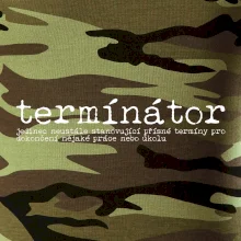 Čeština 2.0 - termínátor