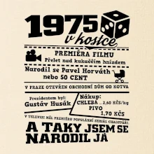 1975 v kostce