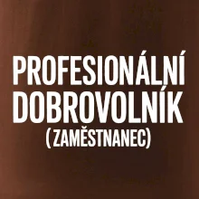 PROFESIONÁLNÍ DOBROVOLNÍK (zaměstnanec)